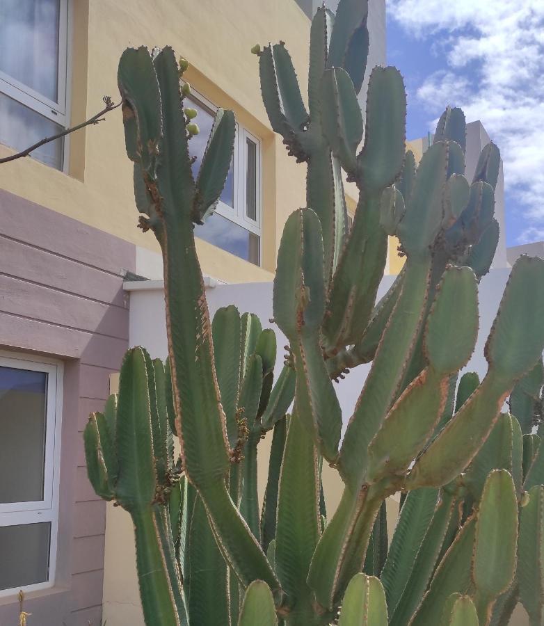 Apartmán Apartamento Con Azotea Privada #Thefunnycactus Puerto del Rosario  Exteriér fotografie